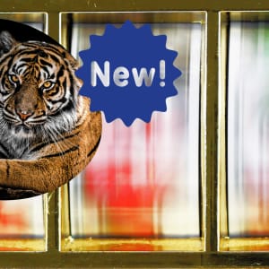 Το Relax Gaming καλωσορίζει το 2022 Tiger Kingdom Infinity Reels